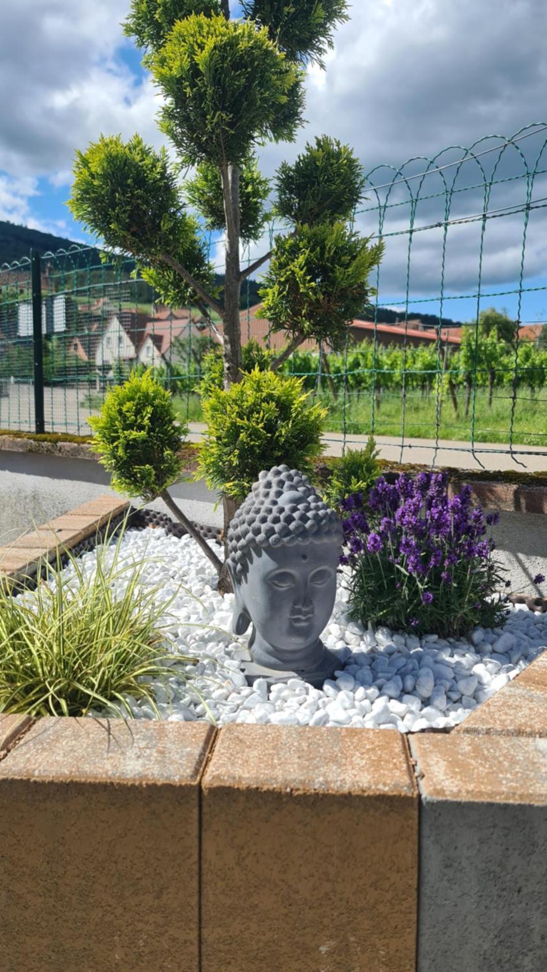 Au Jardin D'Edel Gites Centre Alsace 迪耶方塔勒 外观 照片
